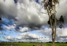 第一次见一人表白四人心碎的