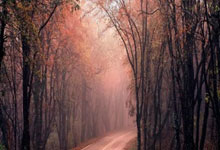 帕金斯揭秘：保罗被快船遣返背后的真相