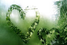 缅甸政界人士：台湾问题是中国内政